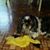 Kim Recker's profile image