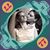 Melissa DeNapoli Barrett's profile image