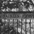 Rubyn Gemmell's profile image