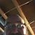 Kevin Copeland's profile image