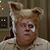 Karl Severs's profile image