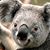 Shirley Smith's profile image