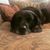 Jenny G. Sarginger's profile image