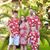 Michele Reed's profile image