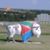 Dora Boyd's profile image