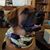 Shelley Akin McMickell's profile image