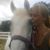 Ashley Russell's profile image