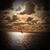 Joyce Dispoto's profile image