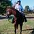 Lynn Cash's profile image