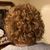 Corey Sumner Adkins's profile image