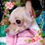 Sandi Evans's profile image