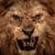 Tina Lambros's profile image