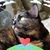 Patricia Burnell's profile image