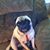 Shelia Daniel's profile image