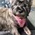 Anita Detterbeck's profile image