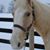 Brenda Brunotte's profile image