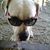Shannon Porter Clark's profile image