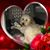 Michelle Drew Haumann's profile image