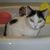 Mary Alice Latourelle's profile image