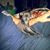 Rick Houser's profile image