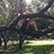Carolyn Stebbins's profile image