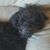 Linda Nichols's profile image