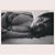 Justine Williams's profile image