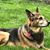 Donald Wertheimer's profile image