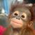 Huimon Teh's profile image