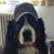 Michael Orourke's profile image