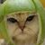 David Pettis's profile image
