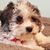 Nancy Kennedy-Walborn's profile image
