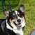 Lauren Syvertson Wise's profile image