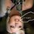 Ryan Anthony Werlinger-Solace's profile image