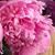 Christine Mclaughlin's profile image