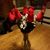 Debra Rex's profile image