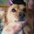 Mary Hlywiak's profile image