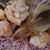 Shawna Spicer Kelling's profile image