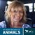 Kerry Beebe Utter's profile image
