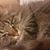 Tricia Margaret's profile image
