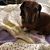 Tracy Truchinski Weigel's profile image
