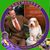 Cindy Wood's profile image