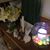 Deb Morton Burdette's profile image