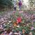 Melissa Hoisington's profile image