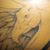 Diana Unger's profile image
