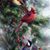 Barb Haning's profile image