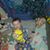 Stephanie McNemar's profile image