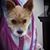 Gina Marie Petrotta's profile image