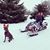 Lynn Knutson's profile image