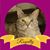 Alisha Page Brock's profile image